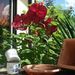 Profile Picture of Conny Weber (@weberconn) on Pinterest