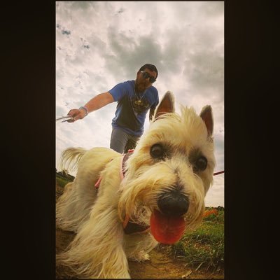 Profile Picture of Andrew Libby (@MadLibs16125) on Twitter