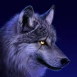 Profile Picture of Martin Papp (@martin.papp.7165) on Instagram