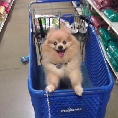 Jean Manza - Twitter Profile Picture of Jean Manza (@JeanManza) on Twitter