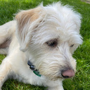 Profile Picture of Robert Wakefield (@robertwakefield9294) on Youtube