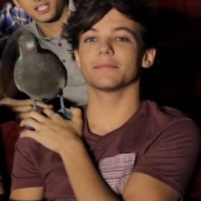 Profile Picture of Pidgeon Kevin (@pidgeon_kevin) on Twitter
