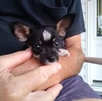 Profile Picture of Robert Drinnon (@robert.drinnon.71) on Facebook