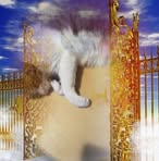 Profile Picture of Jane Grieco (@jane.grieco.773) on Facebook