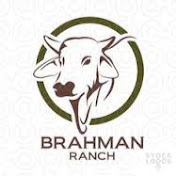 Profile Picture of Alejandro Chamorro (@alejandrochamorro3688) on Youtube