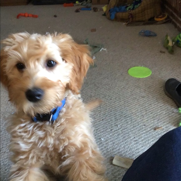 Profile Picture of Daniel Mcclure (@bdmchina97) on Poshmark