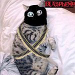 Profile Picture of ben_dittos_cat (@ben_dittos_cat) on Instagram