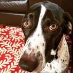 Profile Picture of Ruby_Elliott (@ruby_da_fast) on Instagram