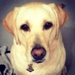 Profile Picture of Aaron Slavens (@atslavens) on Instagram