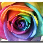 Profile Picture of Deneen Joyce (@deejoyce64) on Instagram