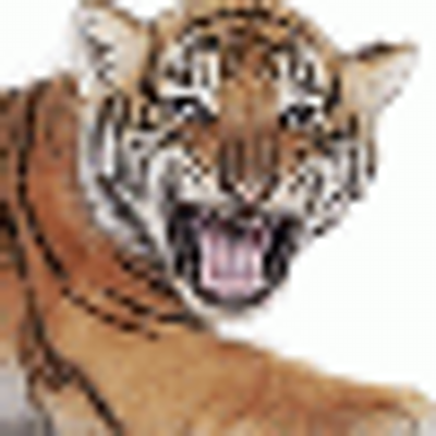 Profile Picture of Vivian Duvall (@malkoviama) on Twitter