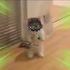 Profile Picture of Javier Albarran (@@cattane_is_here) on Tiktok
