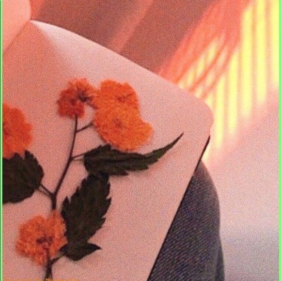 Profile Picture of Candy Ruzynski-hopkins (@candyruzhopp) on Poshmark