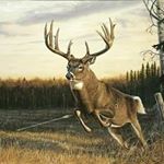 Profile Picture of Andy Maynard (@andy.maynard.712) on Instagram