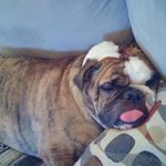 Profile Picture of Tyler Sands (@tyler11sands) on Instagram