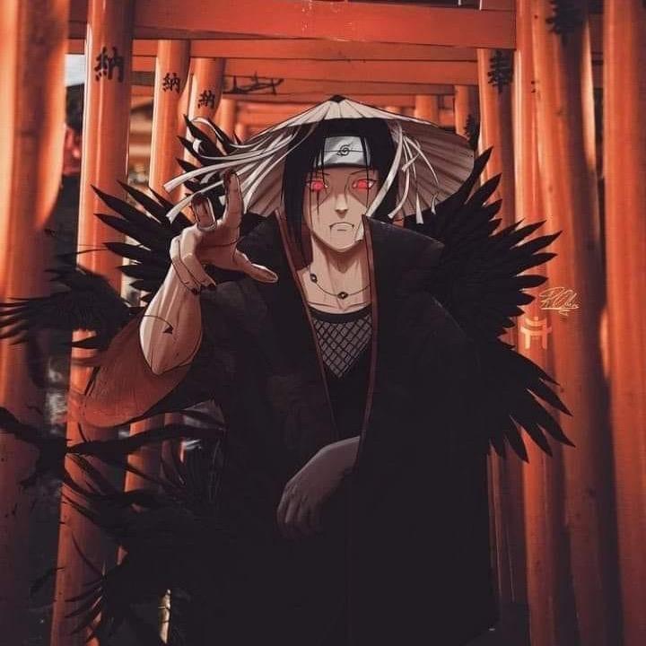 Profile Picture of Matt Knisley (@mattknisley) on Tiktok