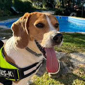 Profile Picture of Lennon (@Lennon0505) on Youtube