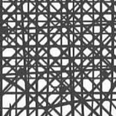 Profile Picture of Brad Fenderson (@SalleBergen) on Twitter