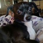 Profile Picture of Crystal Connor (@crystalr658) on Instagram