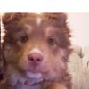 Profile Picture of addy moore (@@addymoore356) on Tiktok
