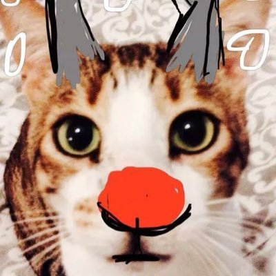 Profile Picture of Dave Bywater (@dlbywater) on Twitter