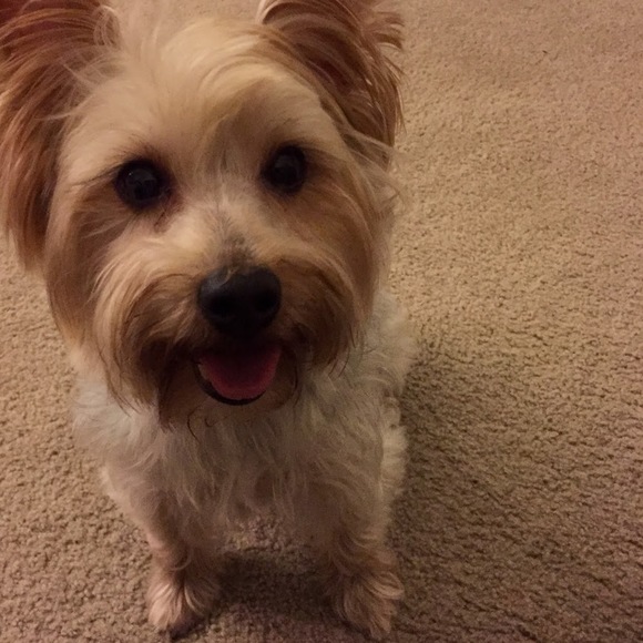 Mia Gerona - Poshmark Profile Picture of Mia Gerona (@miagerona83) on Poshmark