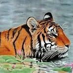 Profile Picture of Beverley Mcfadyen (@Beverley-Mcfadyen) on Facebook