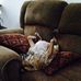 Profile Picture of Daniel Henrie (@daniel.henrie.73) on Facebook