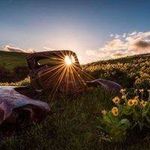 Profile Picture of Roland Campbell (@fatihbaturalp_206832) on Instagram