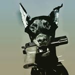 Profile Picture of Joshua (@_josh_acton_) on Instagram