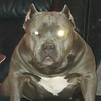 Profile Picture of Paul Heaton (@Paul-Heaton) on Facebook