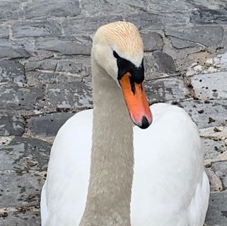 Profile Picture of Elie Debons (@elie.debons) on Facebook