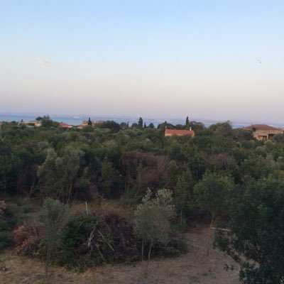 Profile Picture of Nicholas Mavridoglou (@NMavridoglou) on Twitter