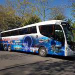 Steve Dakin - Flickr Profile Picture of Steve Dakin (@stevedakin1) on Flickr