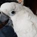 Profile Picture of Carol Pepper (@carol.pepper.121) on Facebook