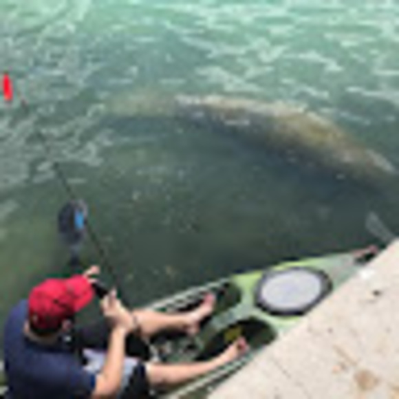 Profile Picture of Steven Nolfi (@stnolfi) on Poshmark