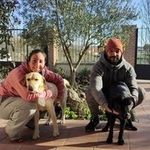 Profile Picture of Sandra Burges Madorrán (@sandraburges) on Instagram