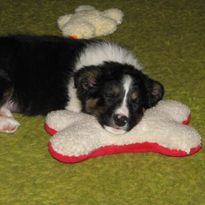 Profile Picture of Mike McMurray (@mgmcmurray) on Twitter