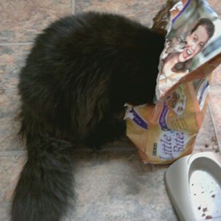 Profile Picture of Gadrick Pugh (@gadrick.pugh) on Facebook