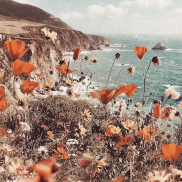 Profile Picture of Phoebe Ward (@pward3684) on Poshmark