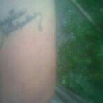 Nicholas Lantz - Instagram Profile Picture of Nicholas Lantz (@nickl0810) on Instagram