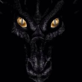 Profile Picture of Alex Chad WAGNER (@alexchadw) on Pinterest