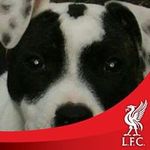 Profile Picture of Mike Guest (@mikeguest7) on Instagram