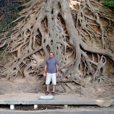 Profile Picture of Kevin Standridge (@KevinStandridg2) on Twitter