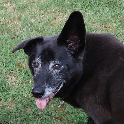 Profile Picture of Mark Stansbury (@Wvamark) on Twitter