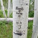 Profile Picture of Randy Hitchcock (@randy.hitchcock) on Instagram