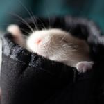 Profile Picture of Steve Bruce (@stevebrucephotos) on Instagram