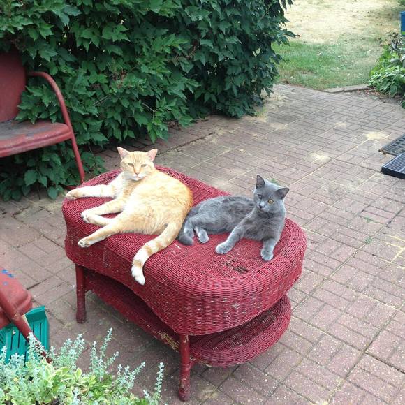 Profile Picture of Dawn Bernamann (@drbernamann) on Poshmark