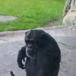 Profile Picture of Charles Tyler (@charles.tyler.70sparty) on Instagram