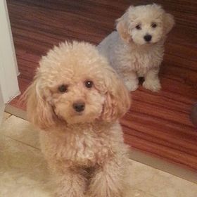 Profile Picture of terry choi (@terrychoikorea) on Pinterest